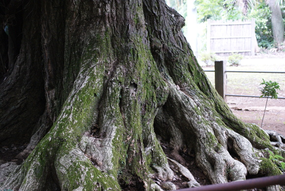 c0125702_1122850.jpg