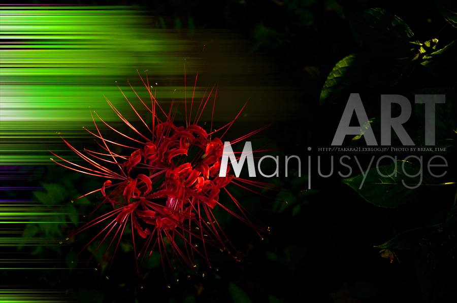 Art Manjusyage II　#Art Manjusyage II_b0136403_019173.jpg