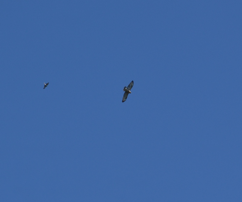 e0103903_1929537.jpg