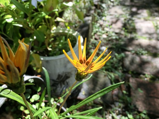 c0156104_23591232.jpg