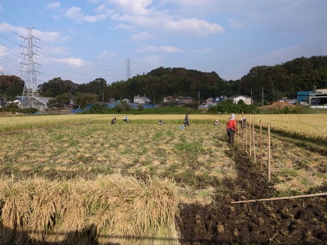 f0159406_2221143.jpg