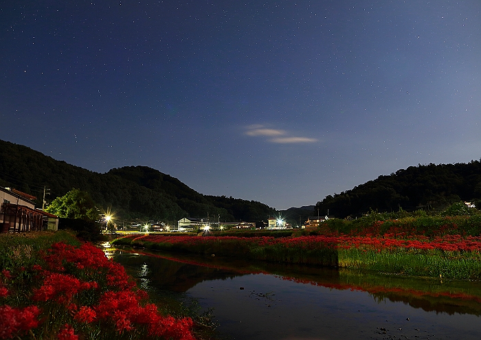 a0140608_745651.jpg