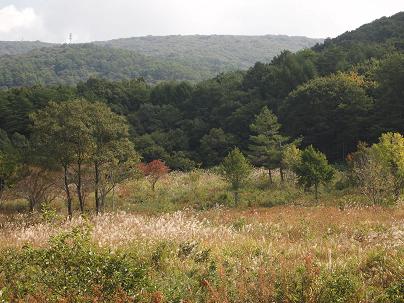 a0240108_20514657.jpg