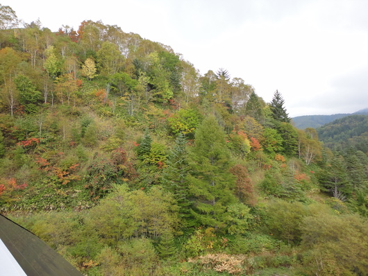 野麦峠、開田高原_d0273508_21361693.jpg