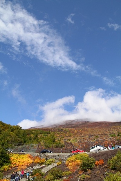 a0194911_212165.jpg