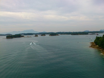 f0100911_1716417.jpg