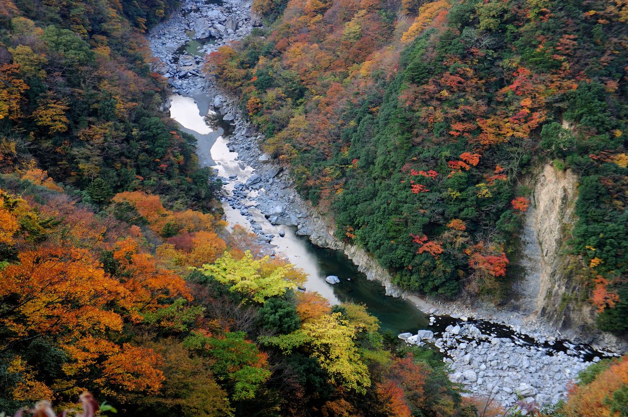 b0260713_23455534.jpg