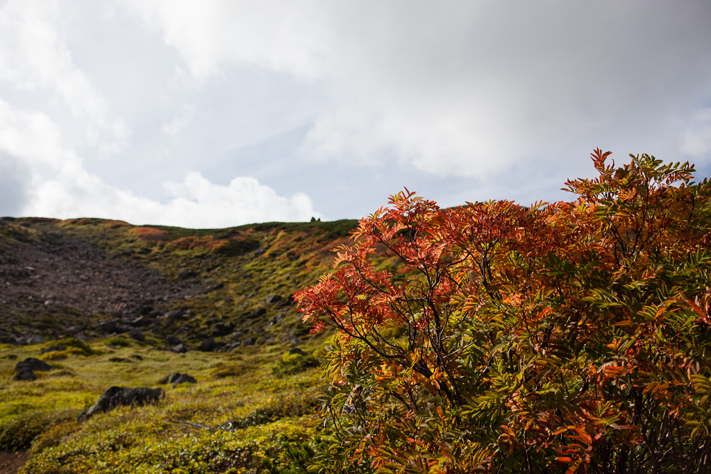 色付き淋しい秋の赤岳・白雲岳　- 7 -_c0073613_11363765.jpg