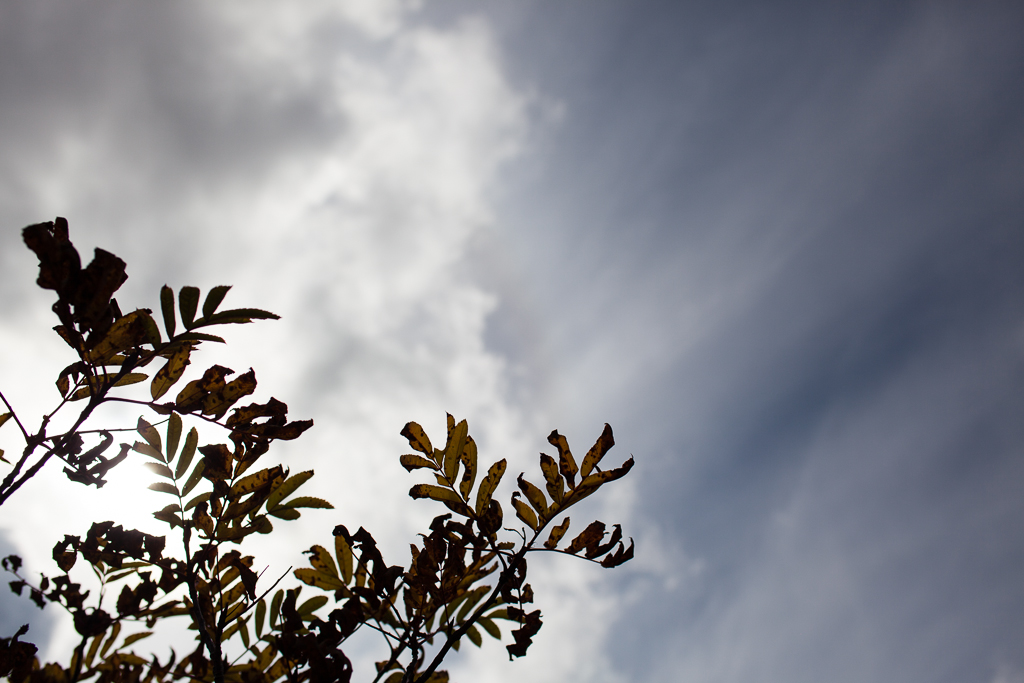 c0073613_11441644.jpg