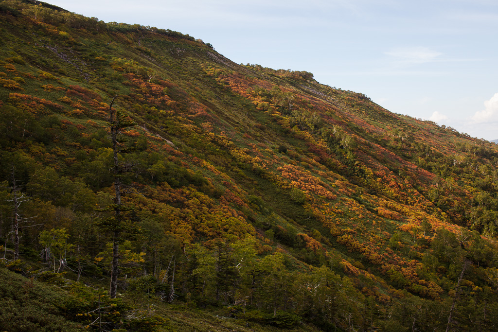 c0073613_11444725.jpg
