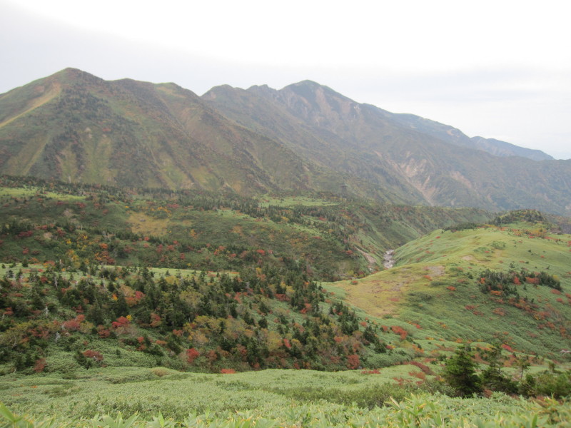 d0103314_2327184.jpg