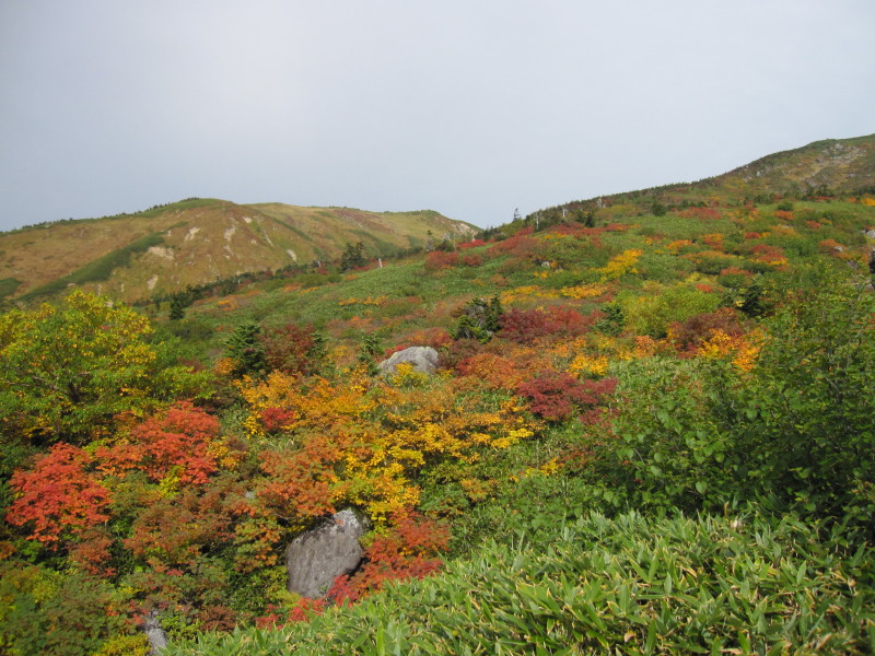 d0103314_23321683.jpg