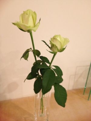 e0274314_1234781.jpg