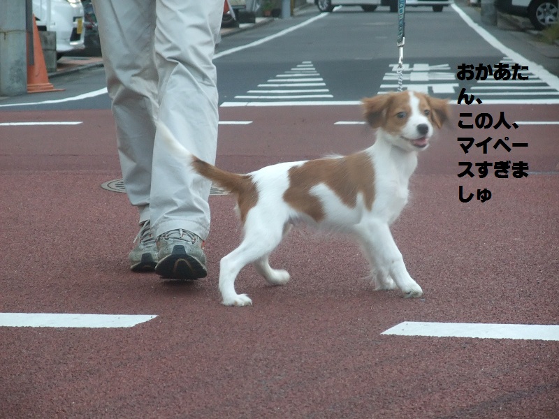 a0286516_1037515.jpg
