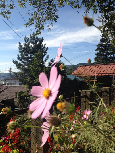 b0159216_17274853.jpg