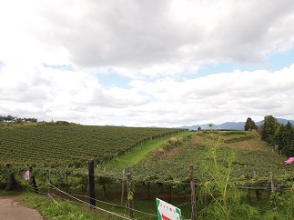 d0190719_2043176.jpg