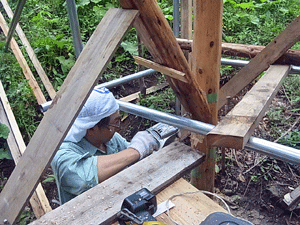 f0232920_1332938.gif