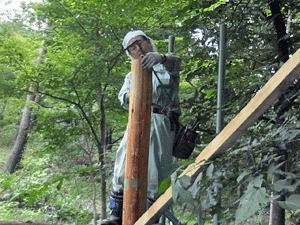 f0232920_13372386.gif
