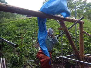 f0232920_14362247.gif