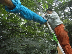 f0232920_14371925.gif