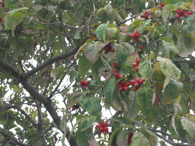 a0238324_11293768.jpg