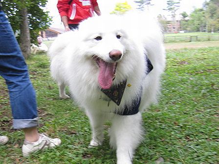 f0213924_293114.jpg