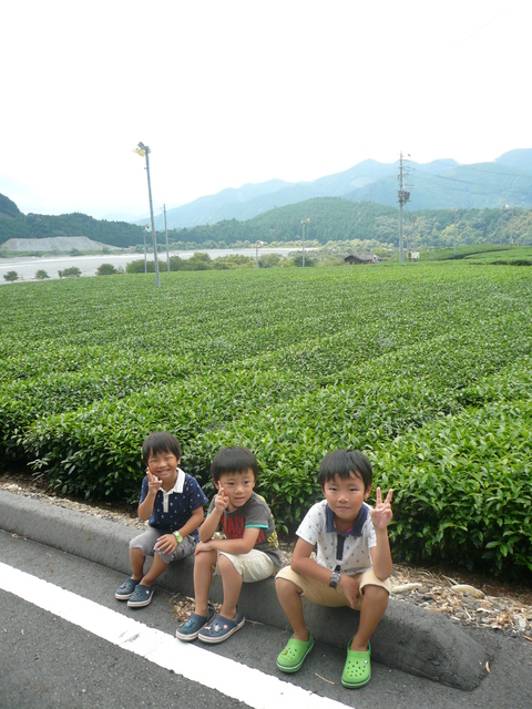 塩郷のつり橋_e0237625_0345111.jpg