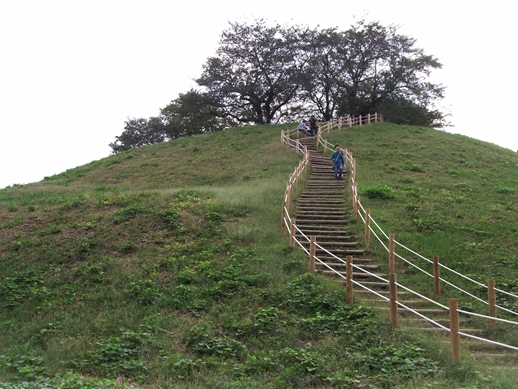 f0040525_2072334.jpg