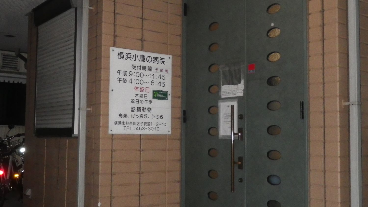 小鳥の病院_c0162128_2214772.jpg