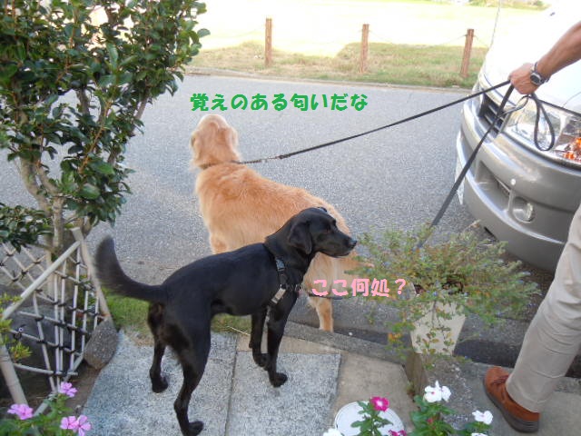 f0114128_1030539.jpg