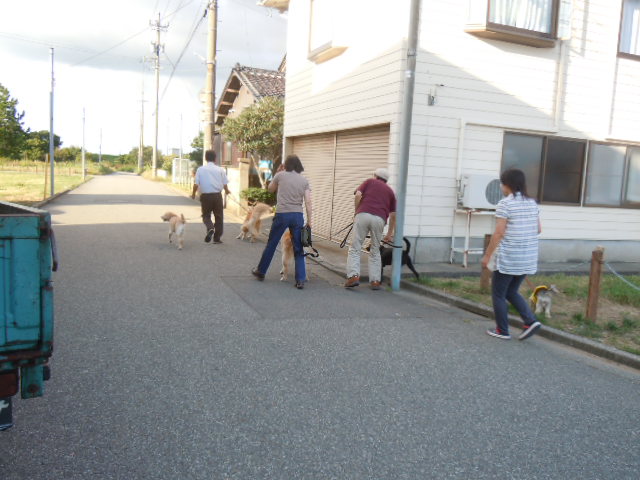 f0114128_1036307.jpg