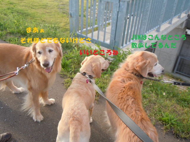 f0114128_10385169.jpg