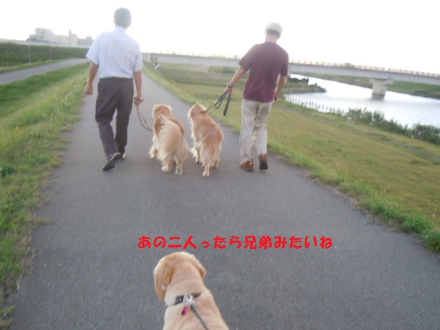 f0114128_10411189.jpg