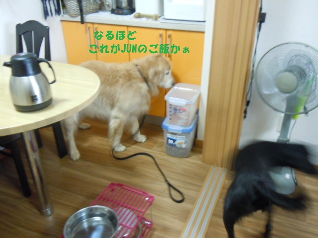 f0114128_10423775.jpg