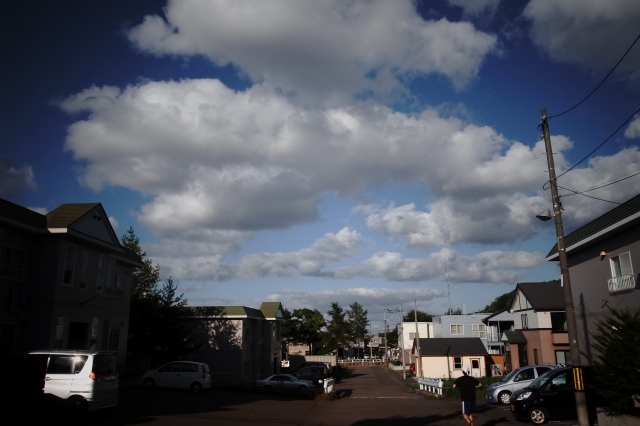 c0051132_19544231.jpg