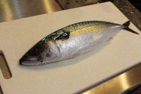 鯖寿司_a0059035_22104843.jpg