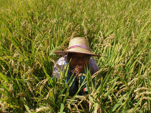 RICE : Catch me if you can _f0187336_220291.jpg