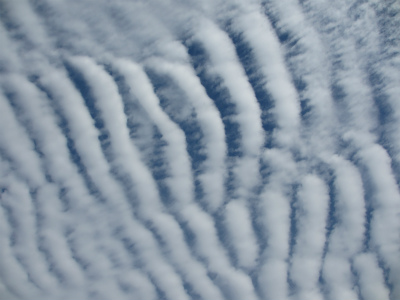 b0187737_2247042.jpg