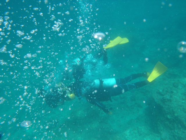 d0222641_1556141.jpg