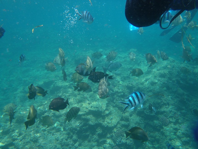 d0222641_15575862.jpg