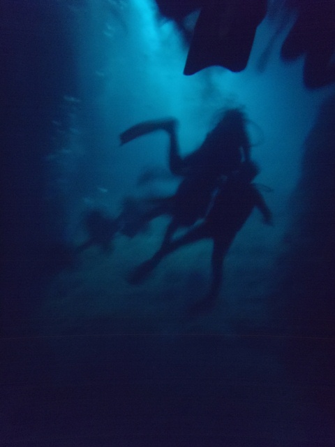 d0222641_1652747.jpg