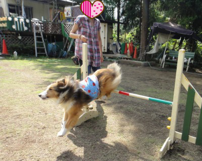 秋の遠足でジャンプ♪_e0195743_9243323.png