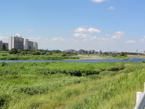 f0188254_17552657.jpg