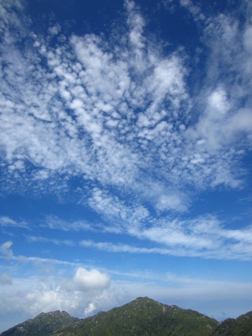 b0160957_7424239.jpg