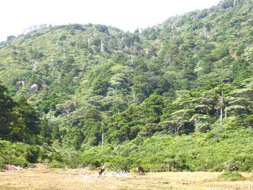 b0160957_8155126.jpg