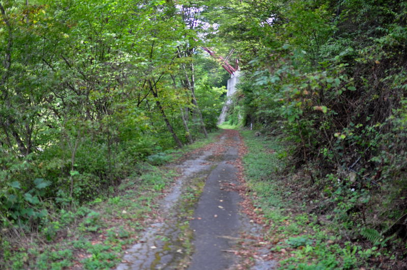 e0053660_20233696.jpg