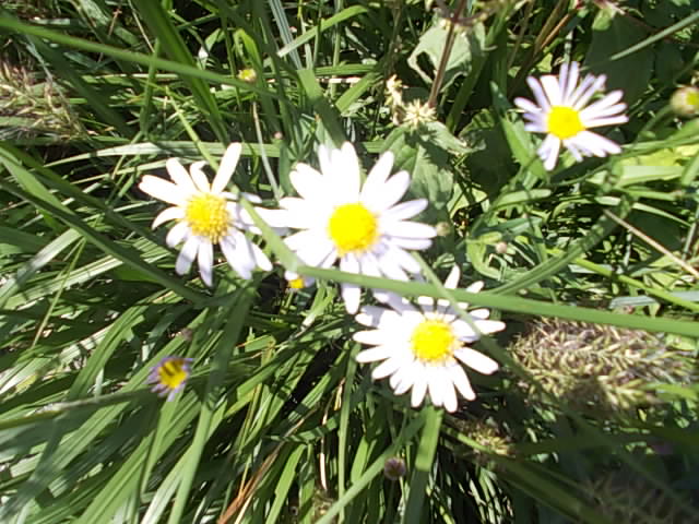f0228664_11313662.jpg