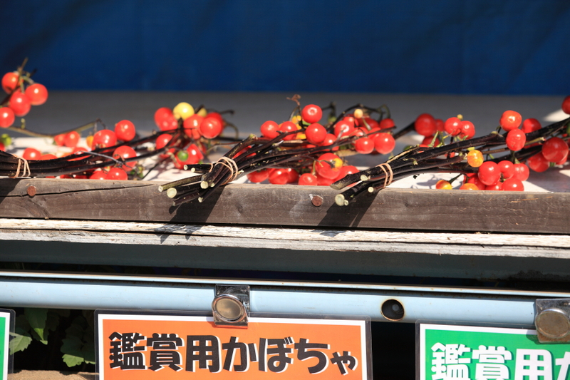a0042970_833610.jpg