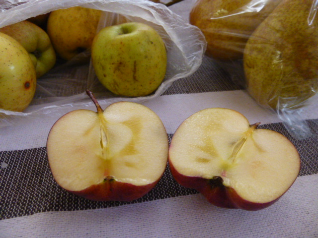 c0180773_11132338.jpg