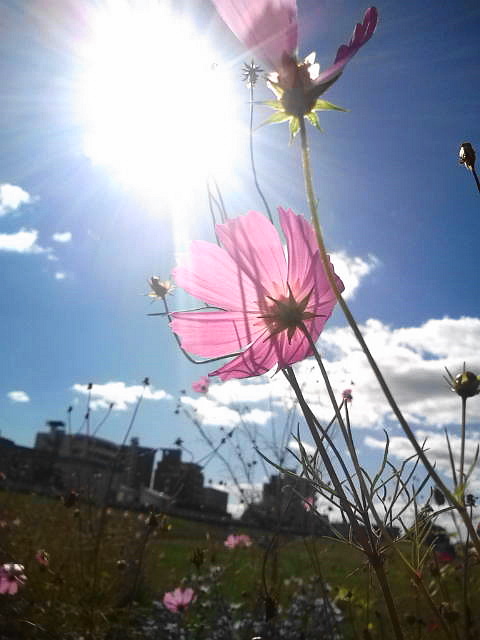 c0106977_16494490.jpg